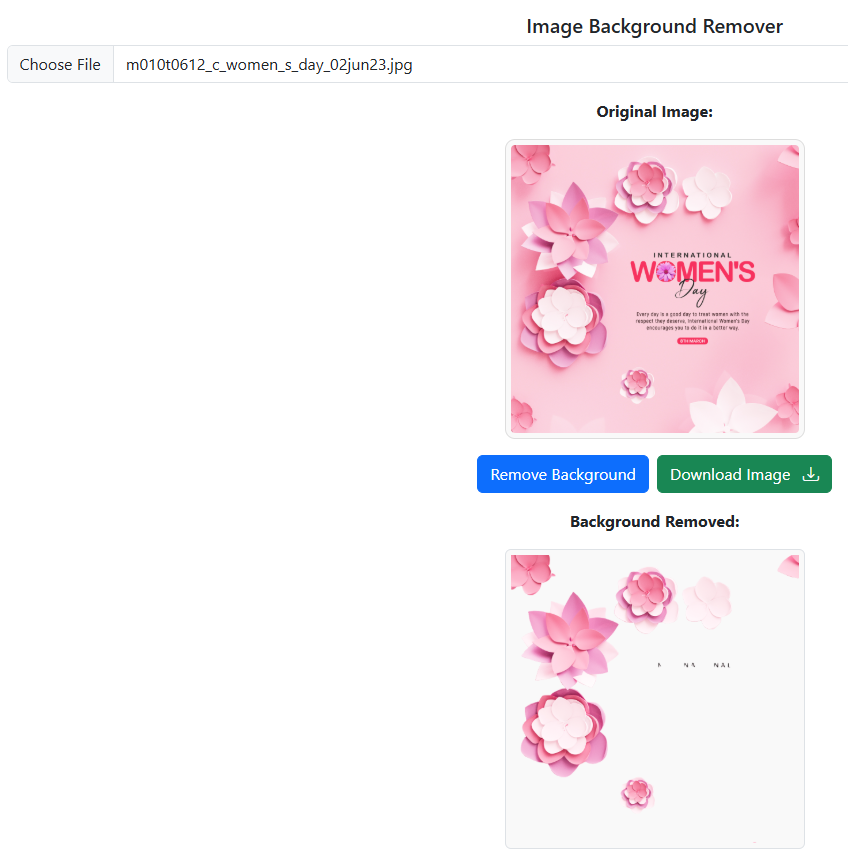 Image Background Removal Tool Preview
